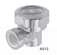 ˹��ɯ��AV13��ͭ�ſ�����