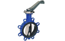 �¹�KSB��ʿ��AMRI Isoria�ضϵ���