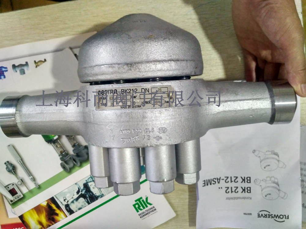 BK212��ˮ��GESTRA